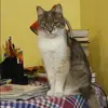 Отзыв от Гульнара Мухина